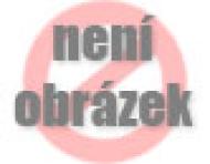 Dražba domu