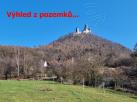 Obrázek dražby