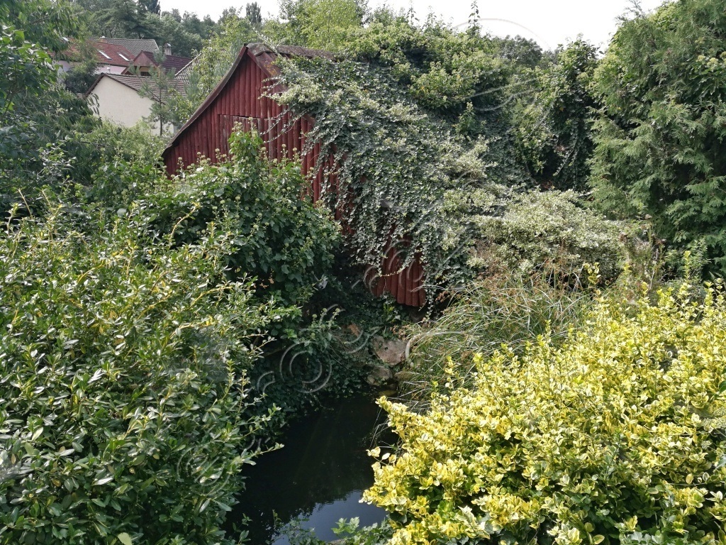 Obrázek dražby