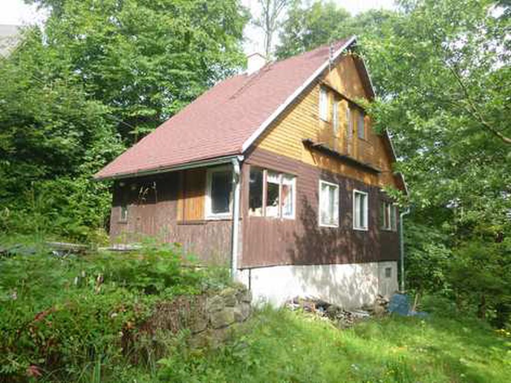 Obrázek dražby