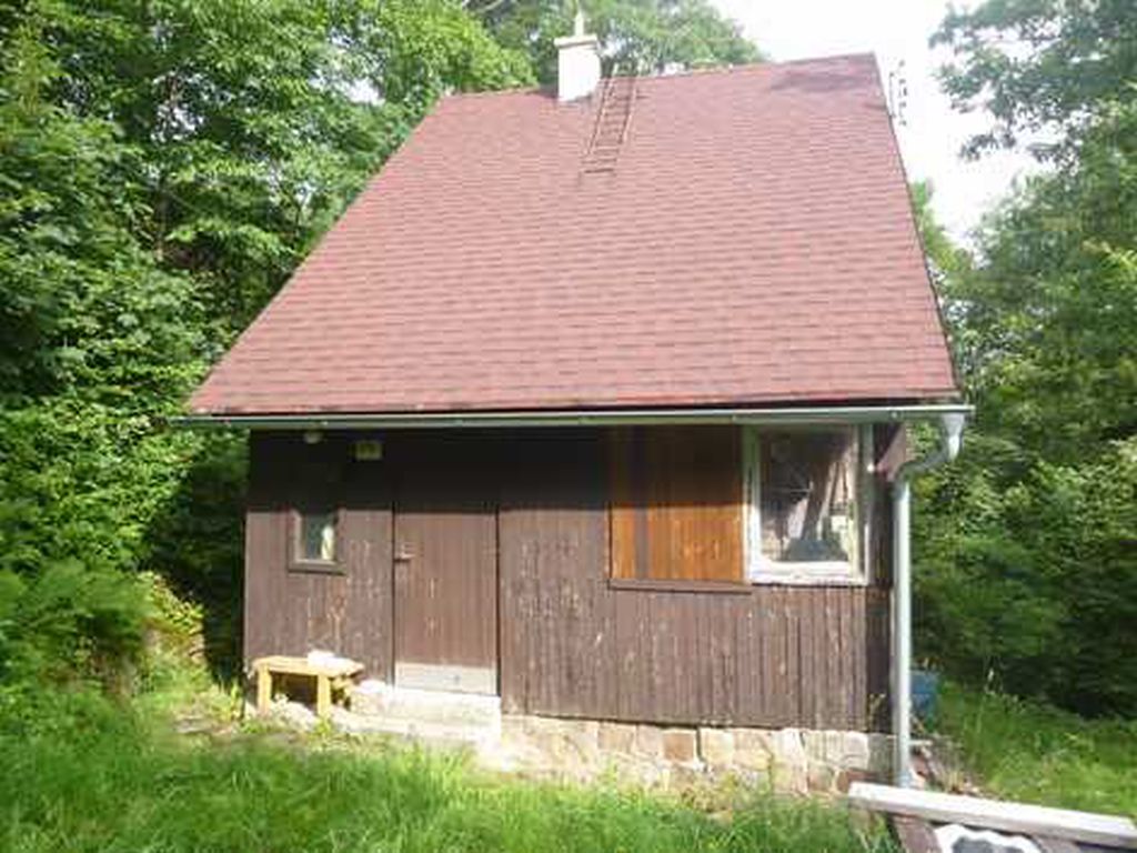 Obrázek dražby