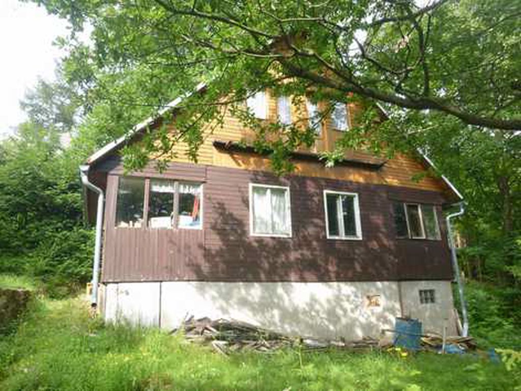 Obrázek dražby