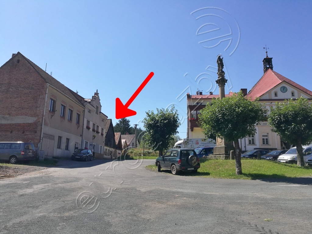 Obrázek dražby