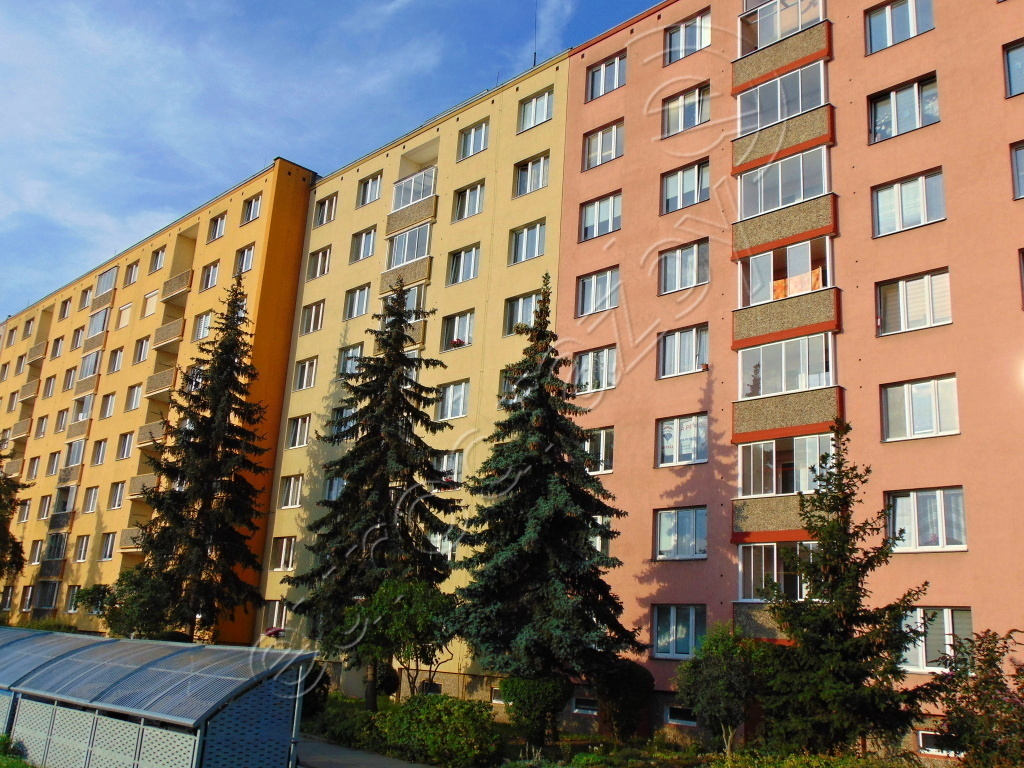 Obrázek dražby
