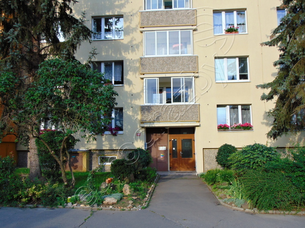Obrázek dražby