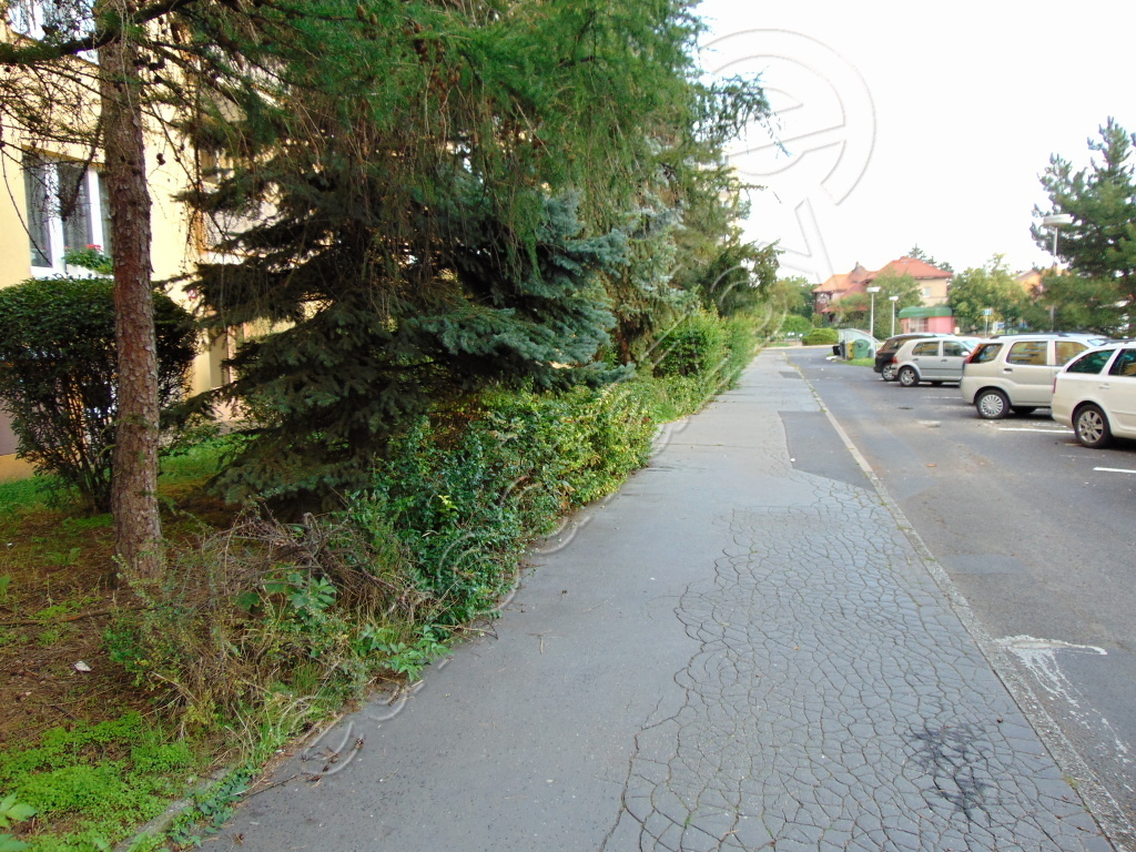 Obrázek dražby