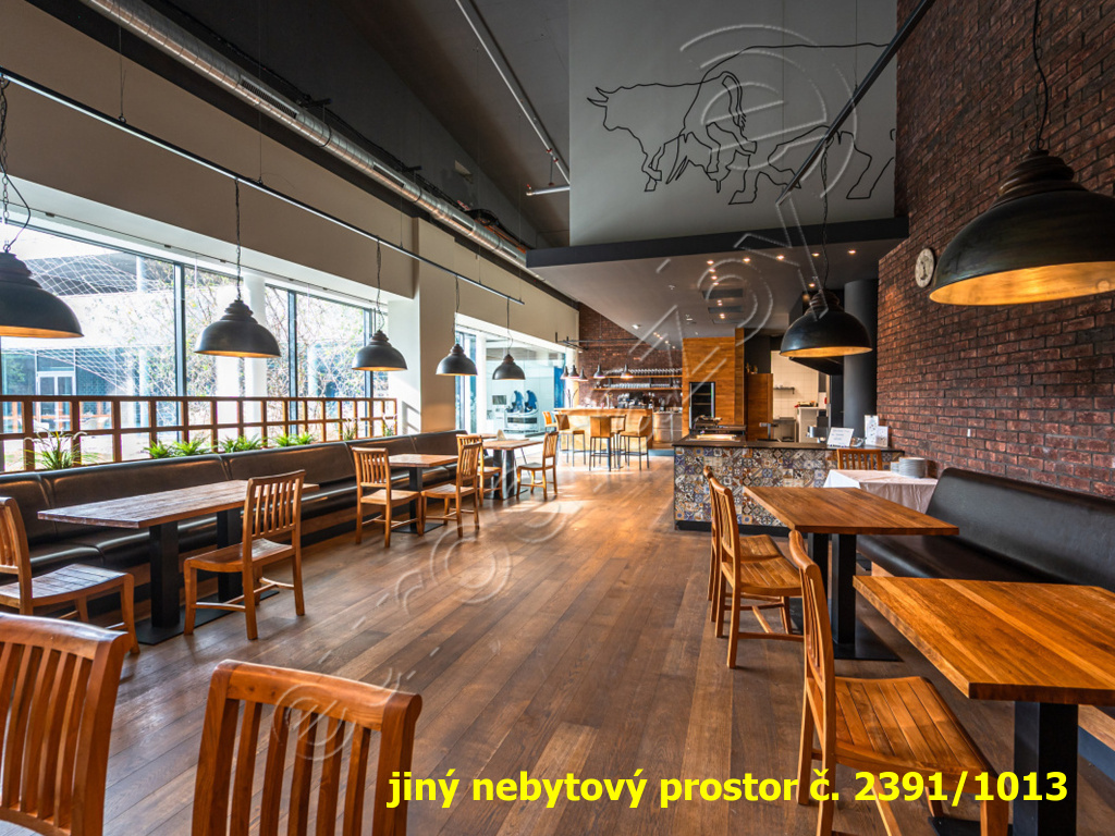 Obrázek dražby