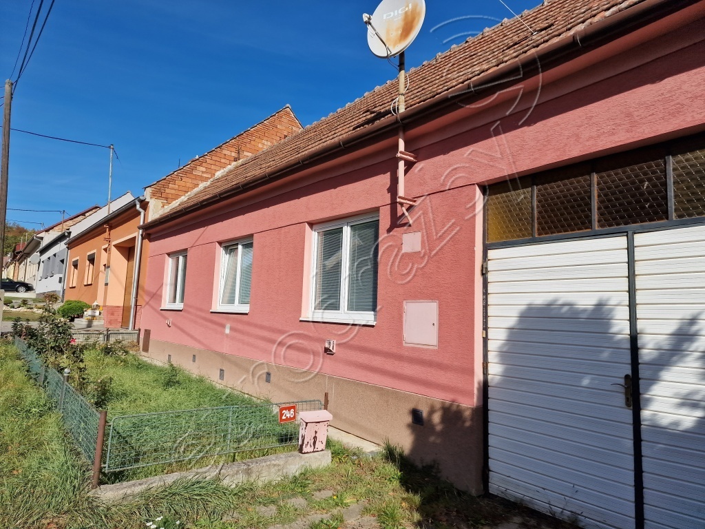 Obrázek dražby