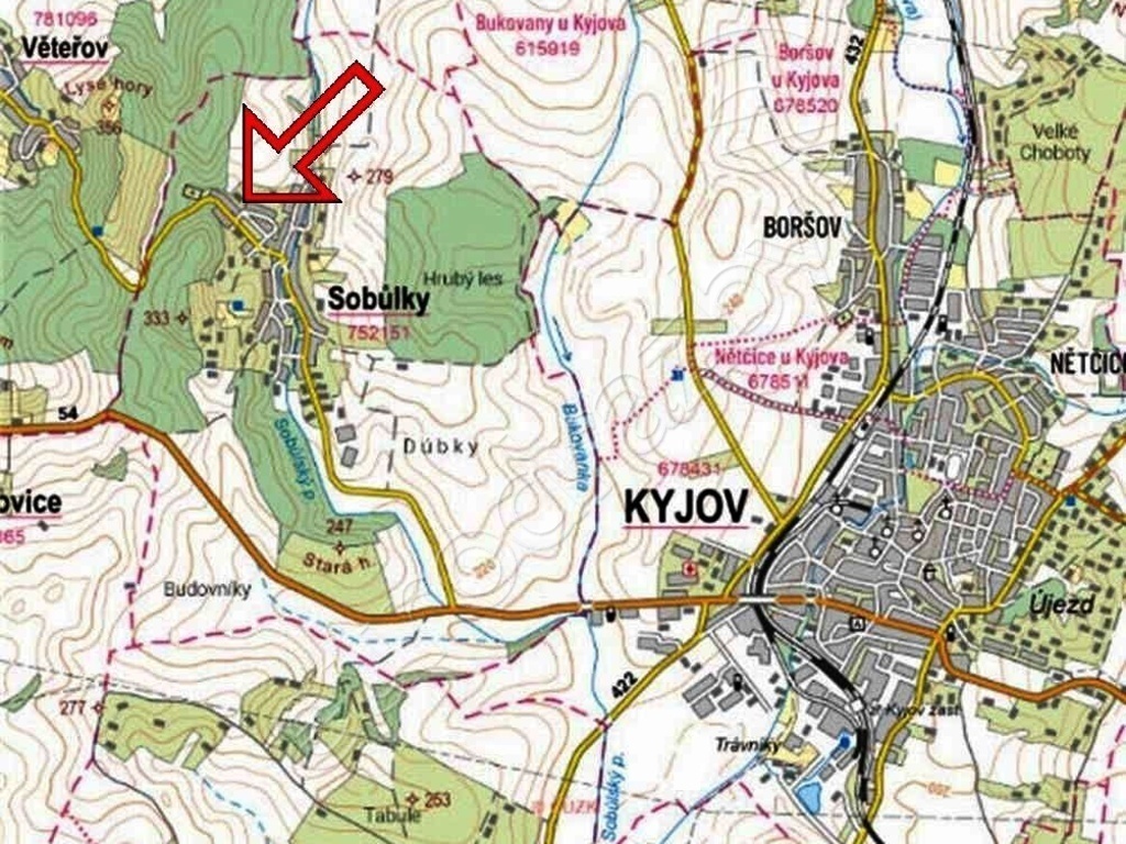 Obrázek dražby