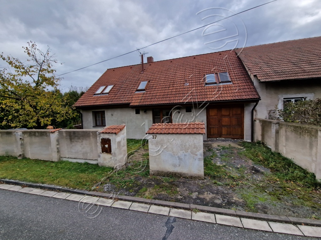 Obrázek dražby