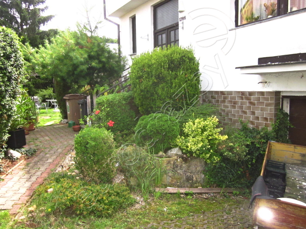 Obrázek dražby