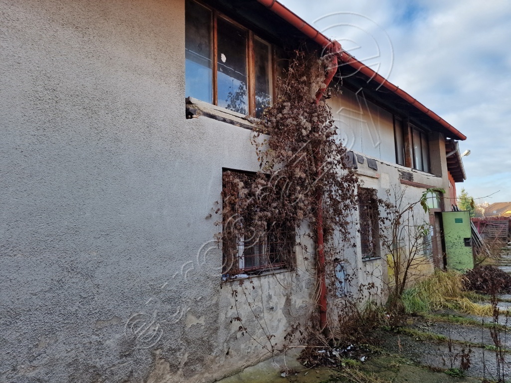 Obrázek dražby