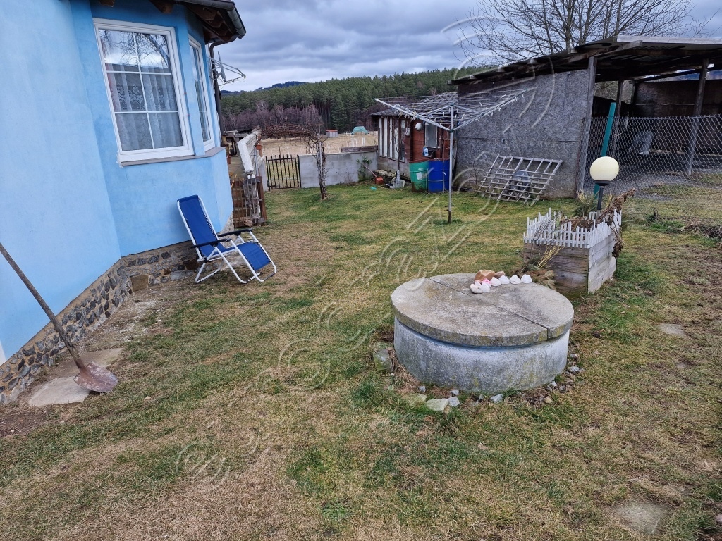 Obrázek dražby
