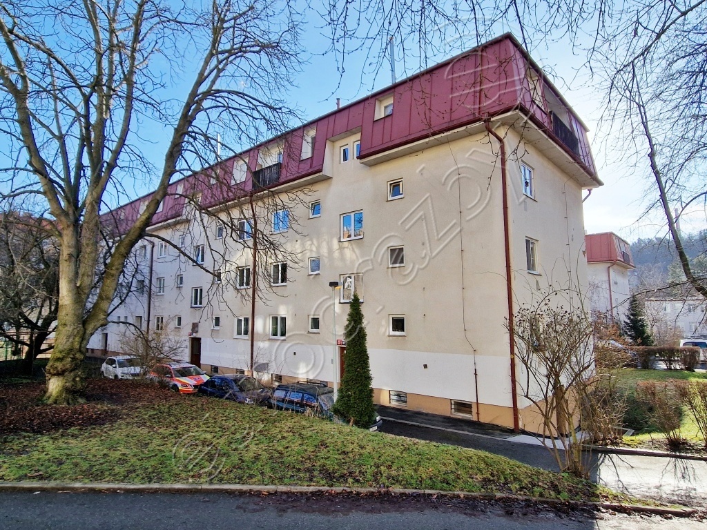 Obrázek dražby