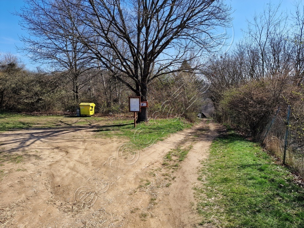 Obrázek dražby