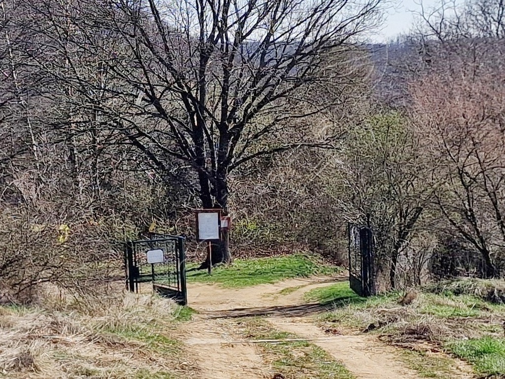 Obrázek dražby