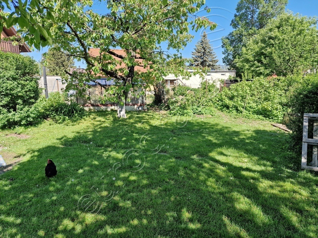 Obrázek dražby