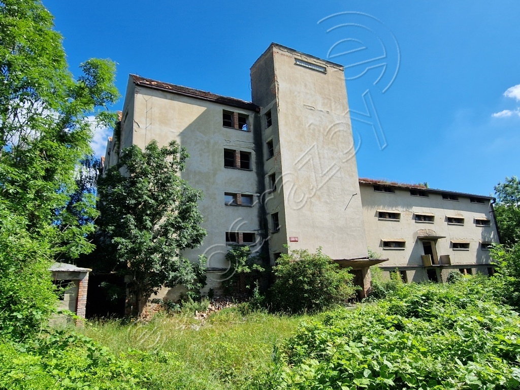 Obrázek dražby