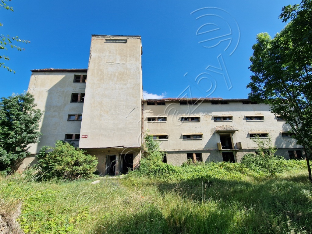 Obrázek dražby