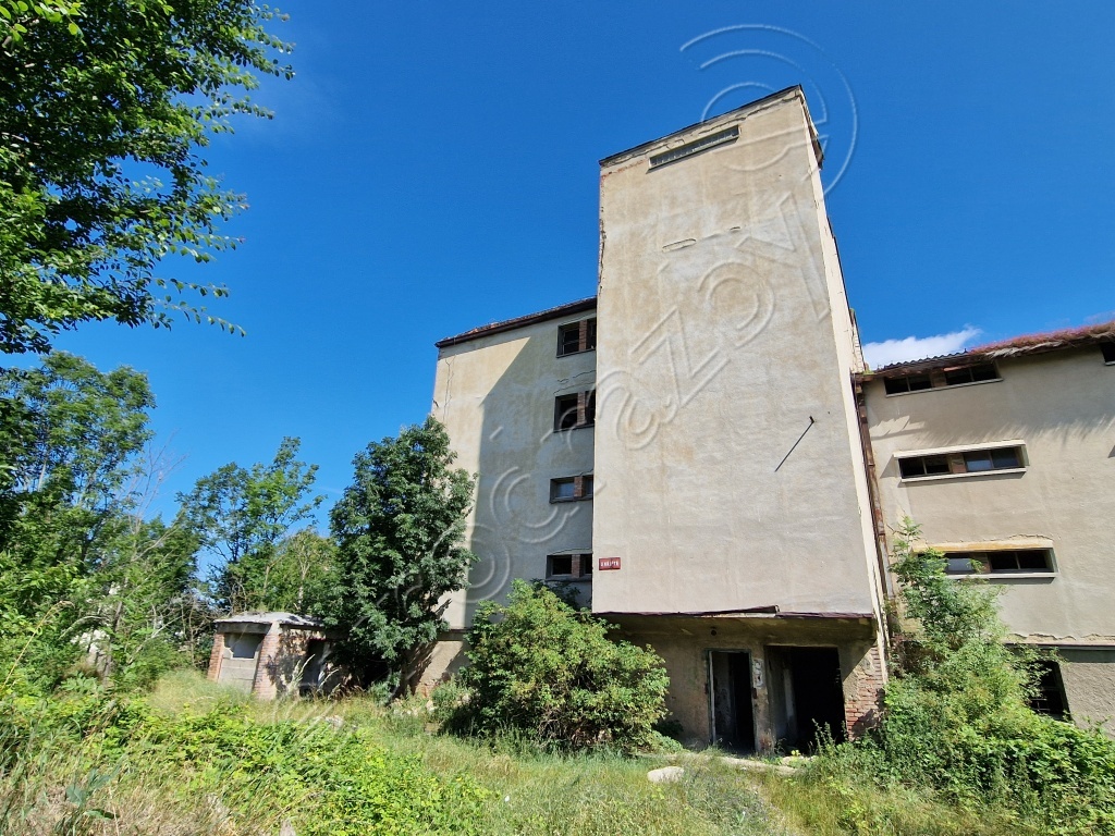 Obrázek dražby