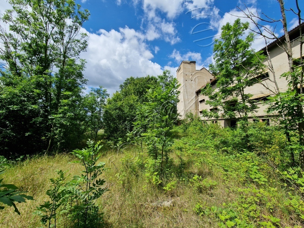 Obrázek dražby
