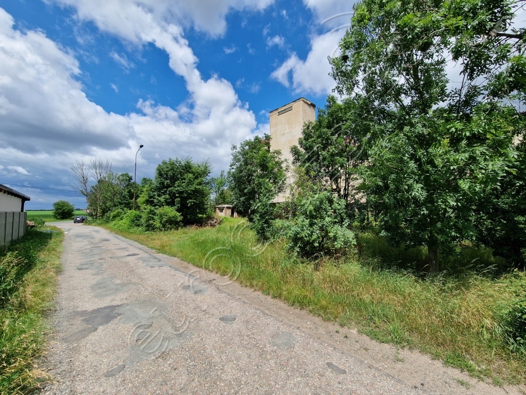 Obrázek dražby