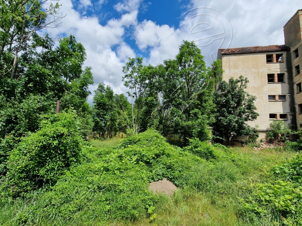 Obrázek dražby
