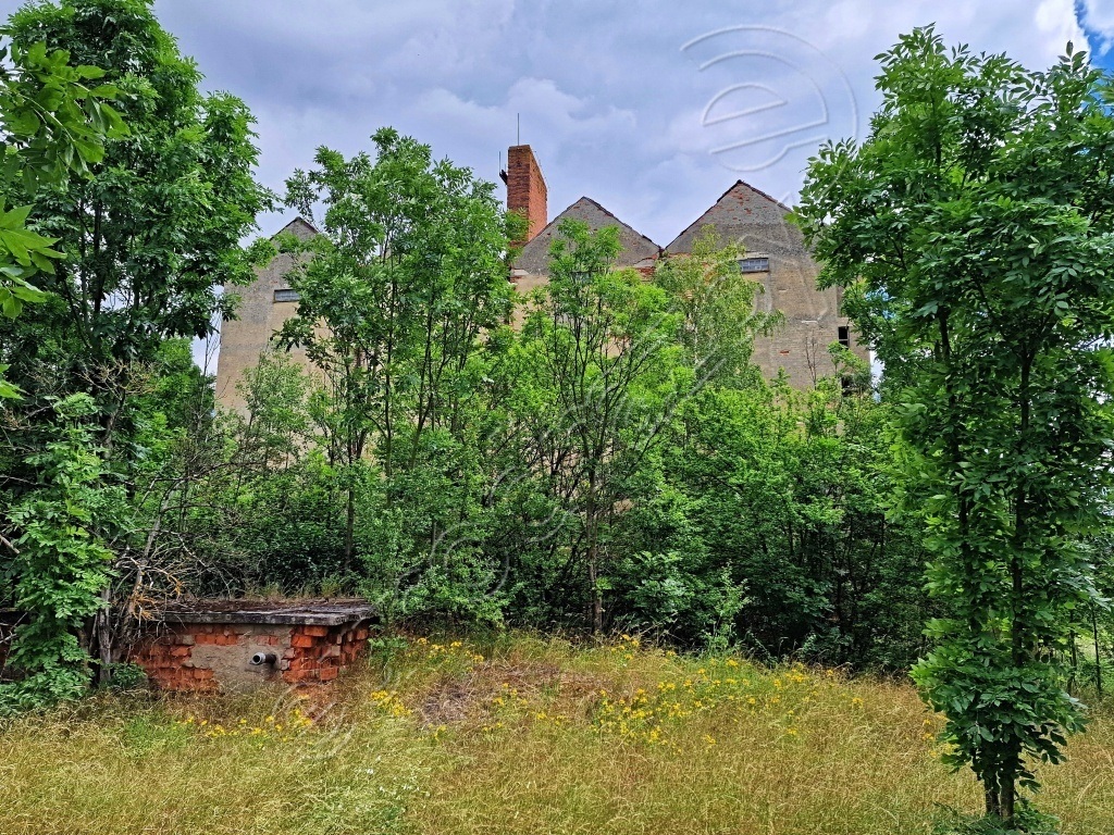 Obrázek dražby