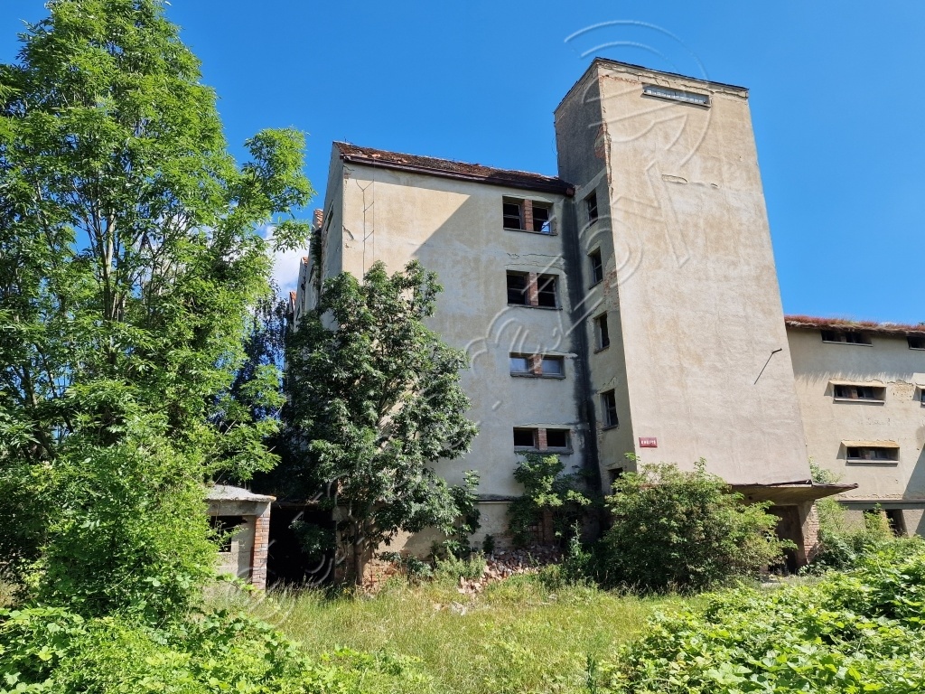 Obrázek dražby