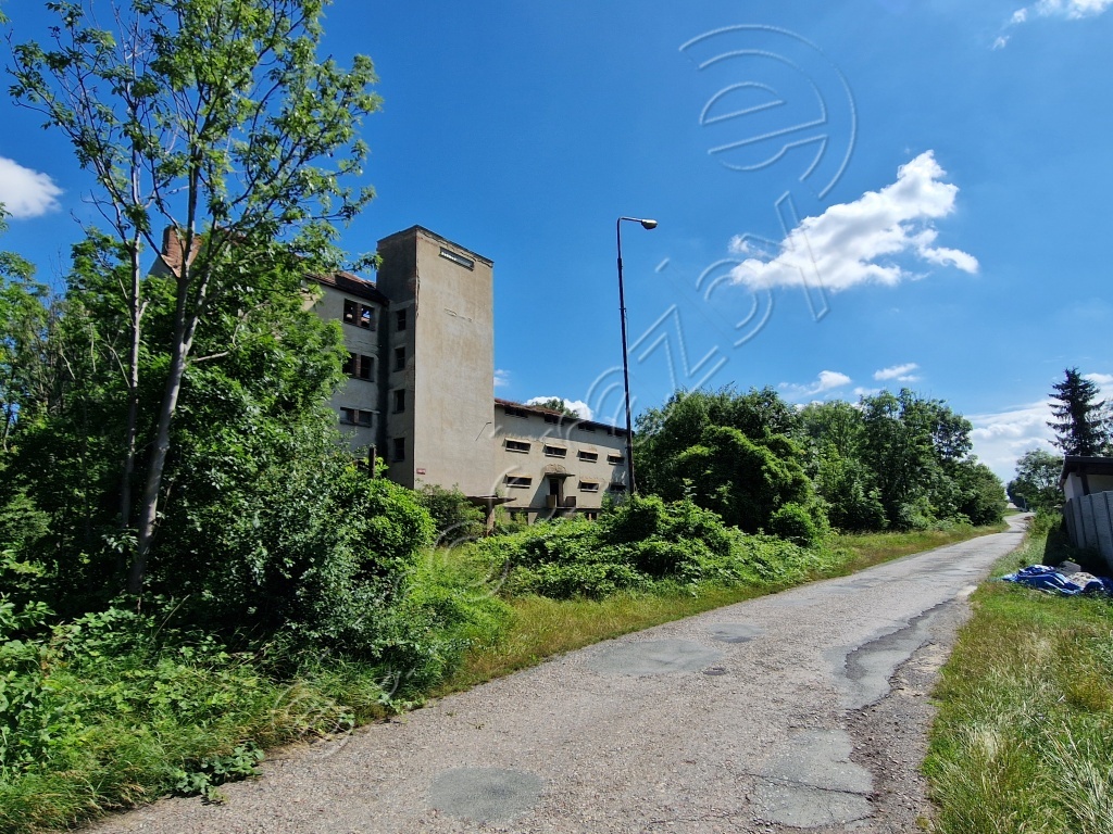 Obrázek dražby