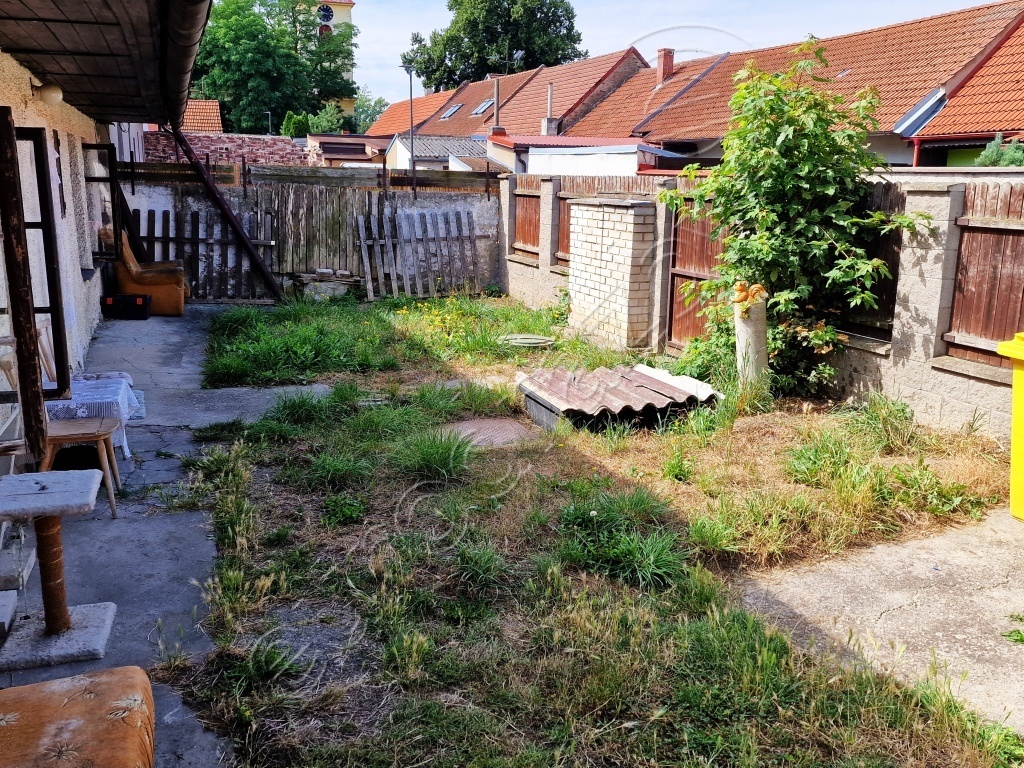 Obrázek dražby