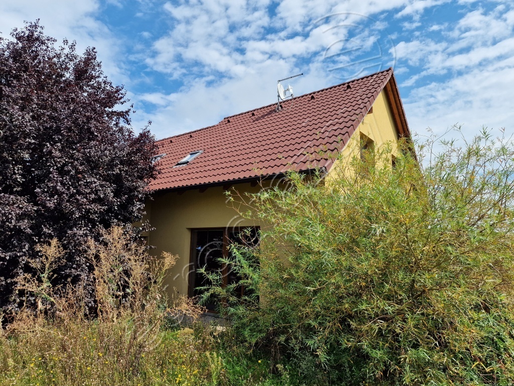 Obrázek dražby