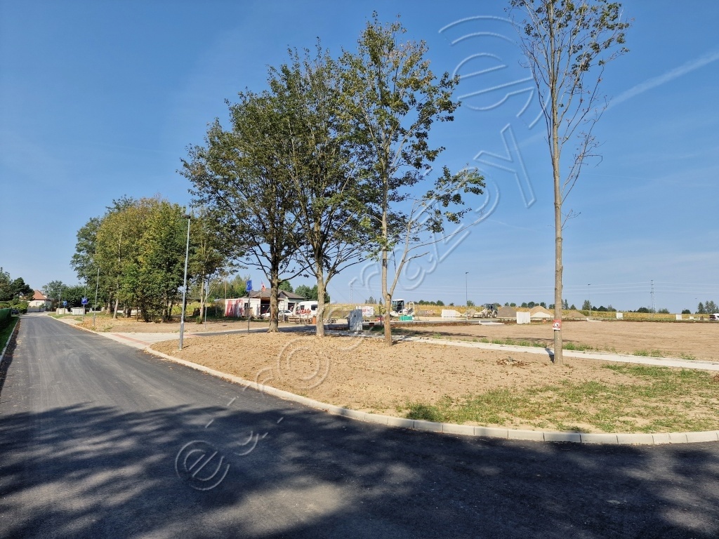 Obrázek dražby