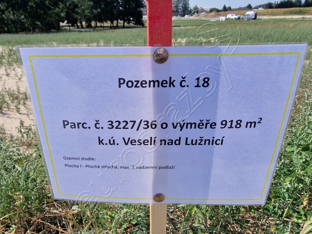 Obrázek dražby