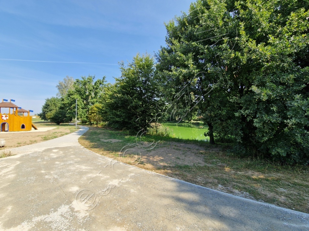 Obrázek dražby