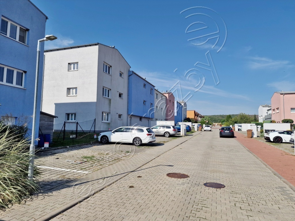 Obrázek dražby