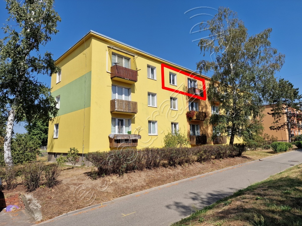 Obrázek dražby