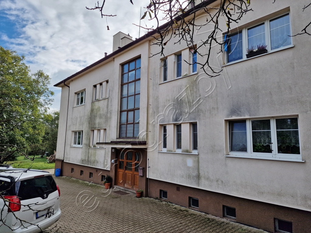 Obrázek dražby