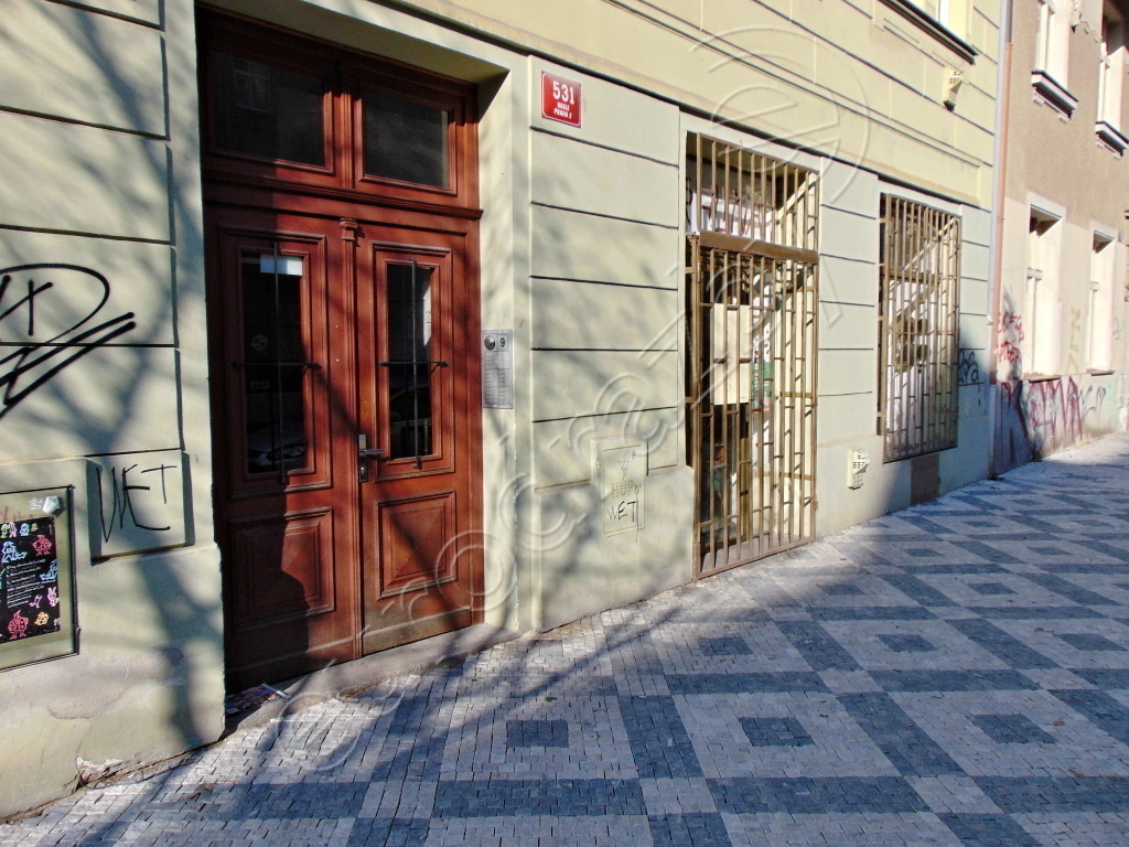 Obrázek dražby