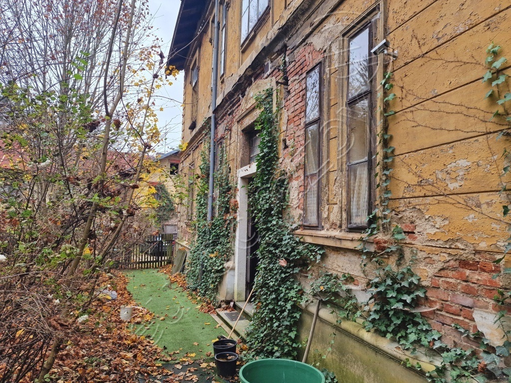 Obrázek dražby