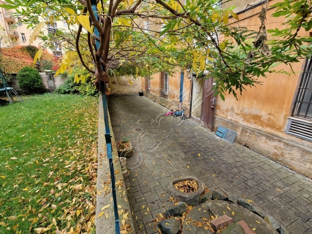 Obrázek dražby