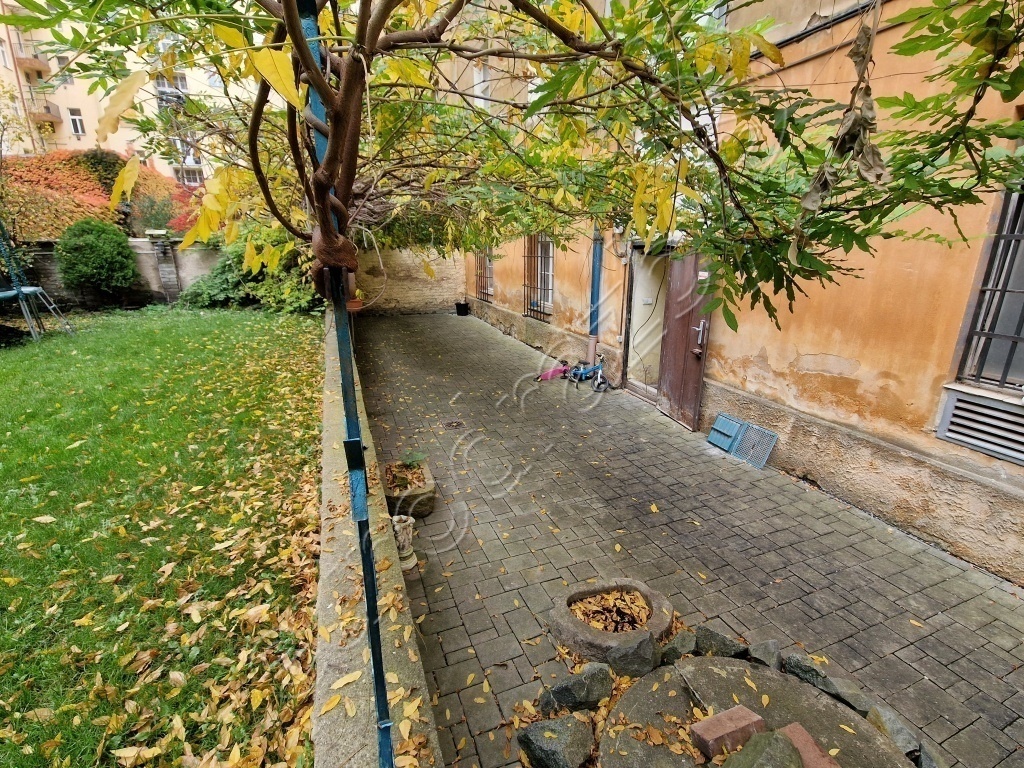 Obrázek dražby
