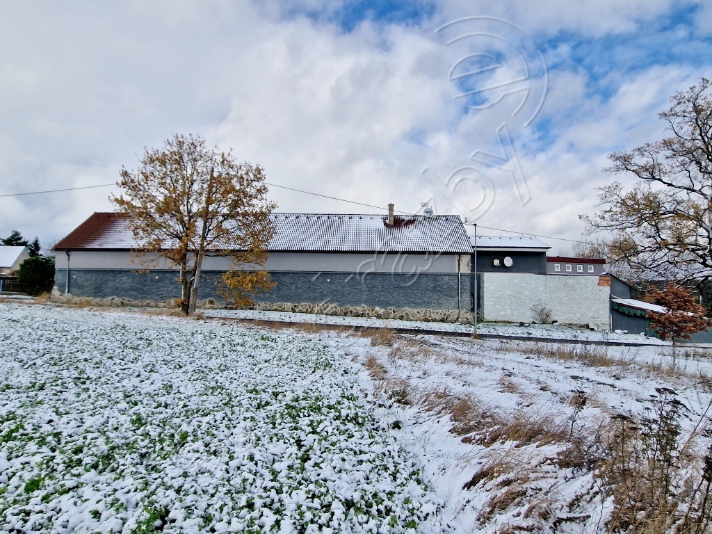Obrázek dražby