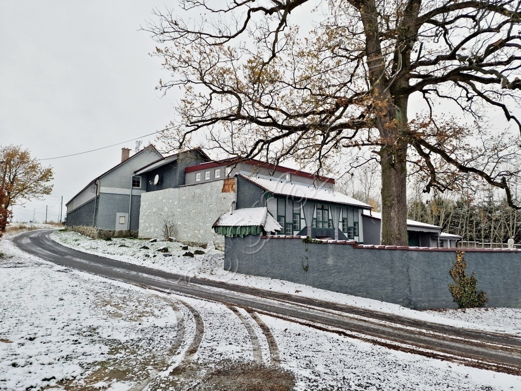 Obrázek dražby