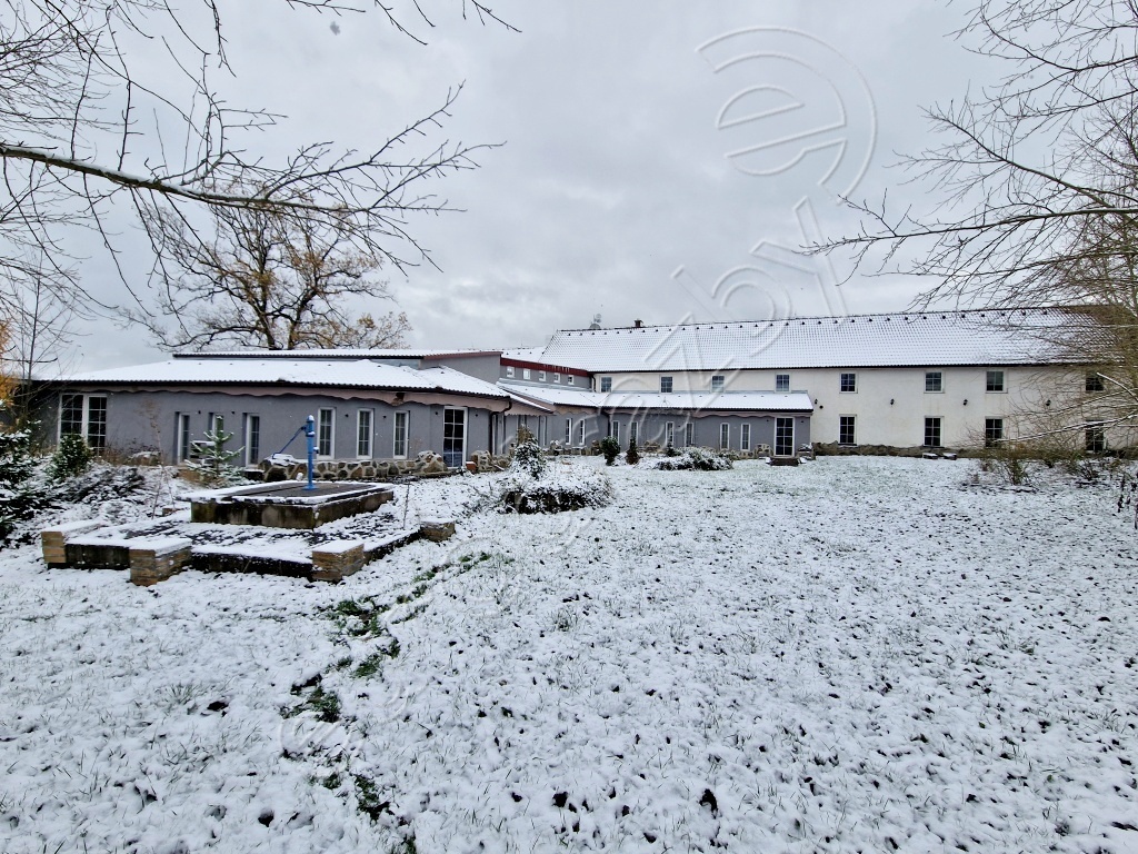 Obrázek dražby