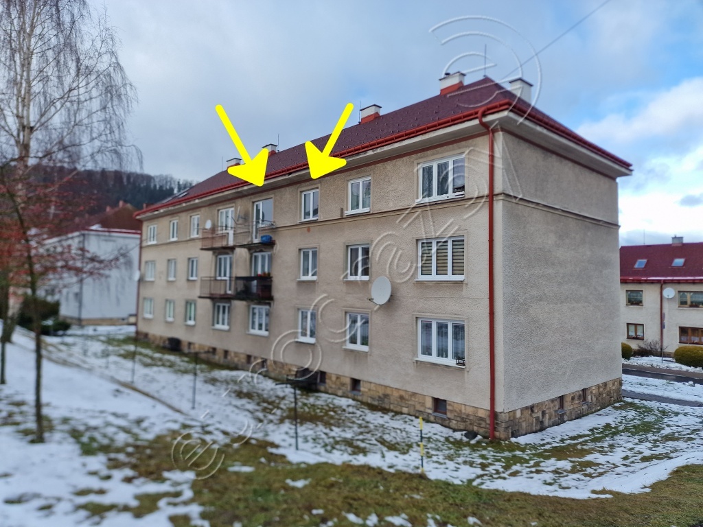 Obrázek dražby