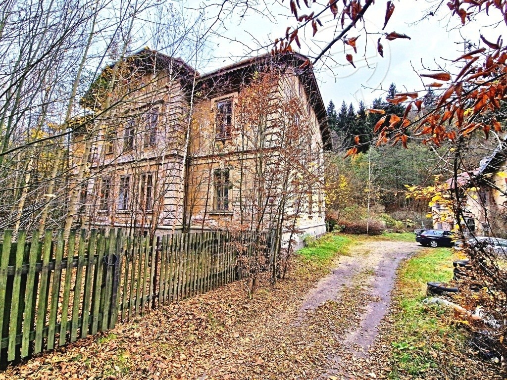 Obrázek dražby
