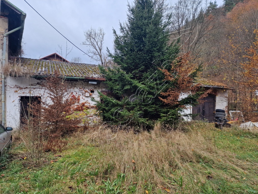 Obrázek dražby