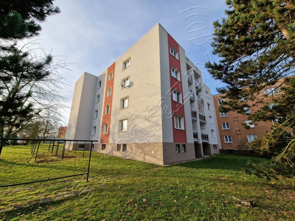 Obrázek dražby