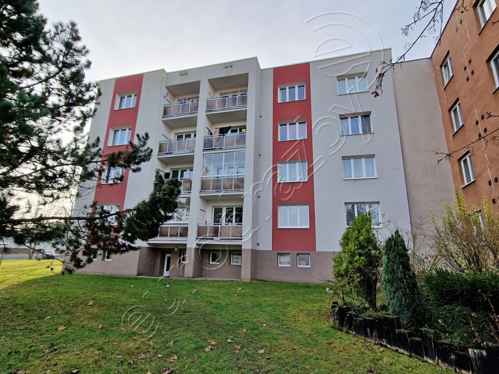 Obrázek dražby